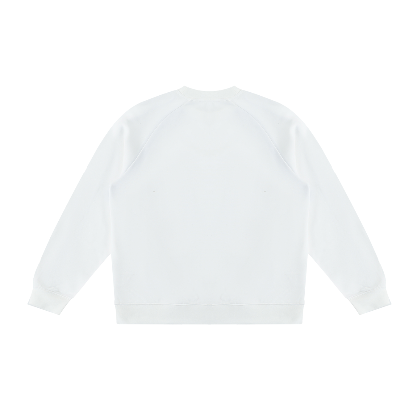 Color Block Crewneck Sweatshirt