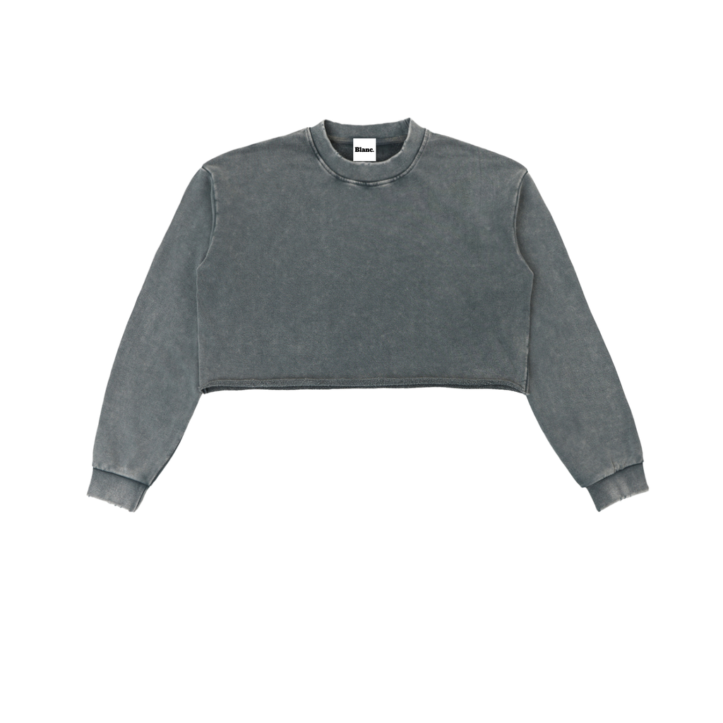 Snow Washed Raw Edge Cropped Sweatshirt