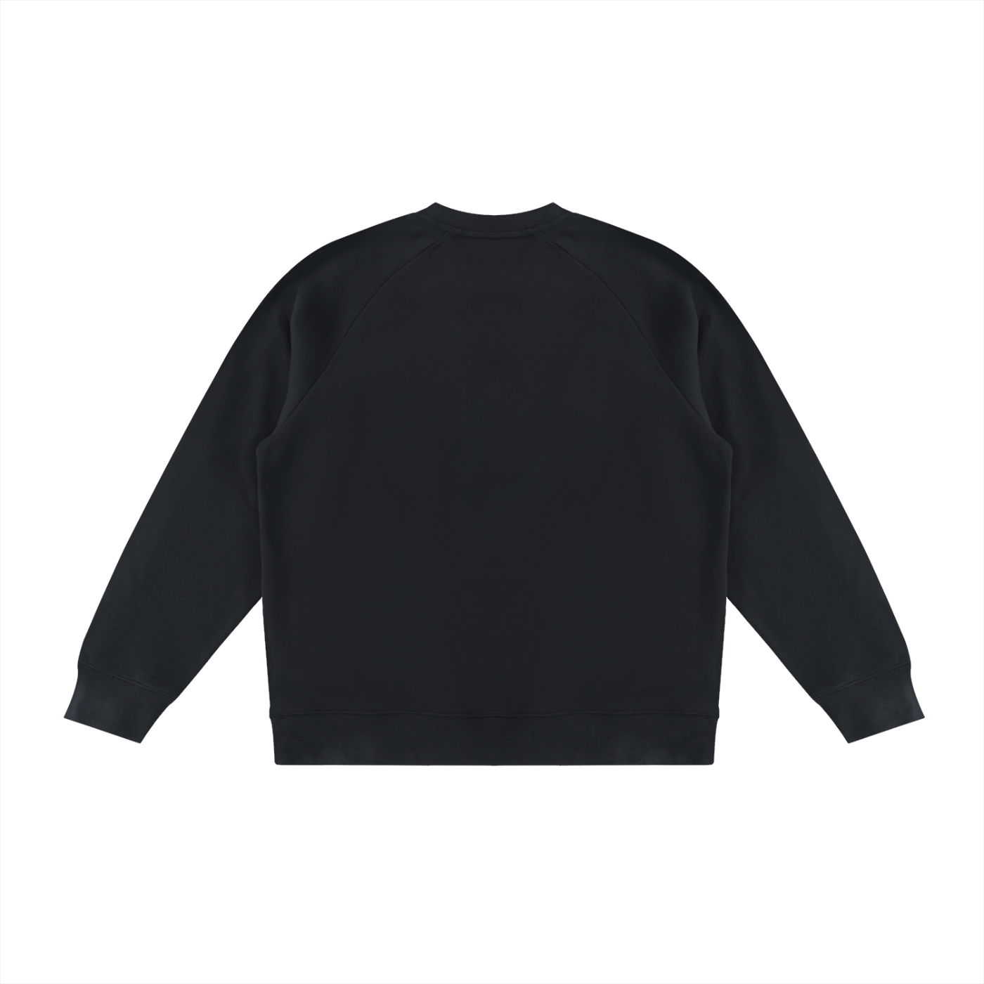 Color Block Crewneck Sweatshirt